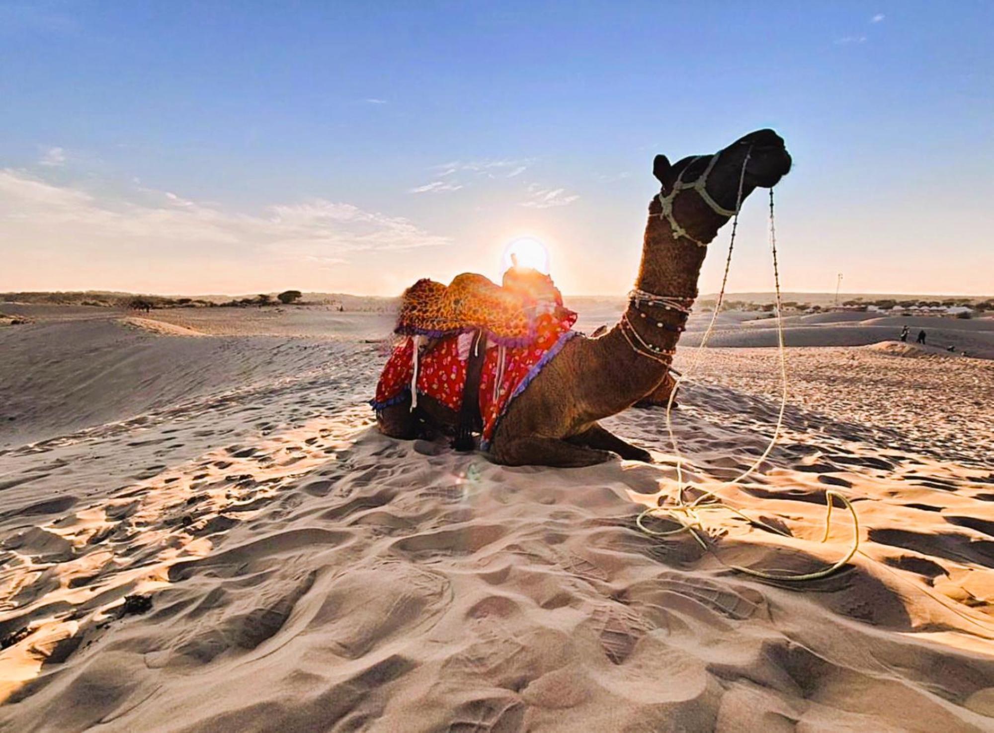 Jaisalmer Sand Dunes Luxury Camp And Resort Εξωτερικό φωτογραφία