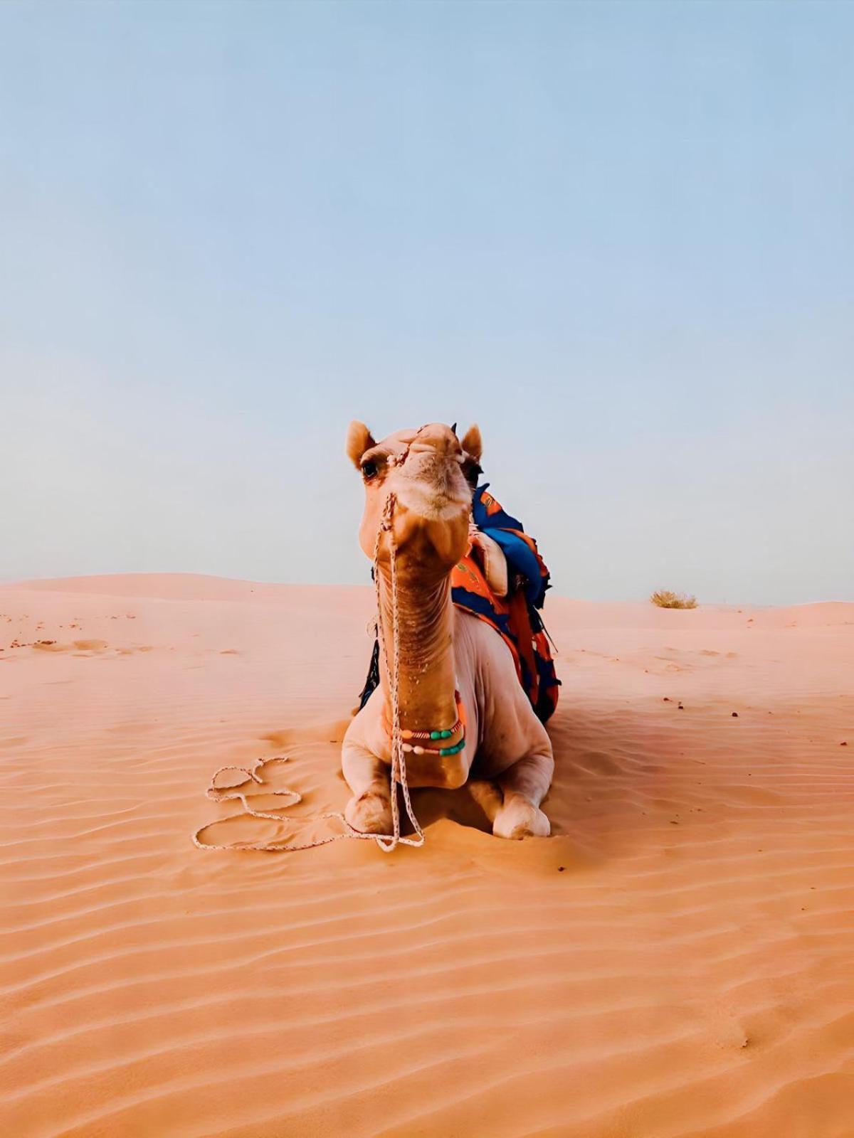 Jaisalmer Sand Dunes Luxury Camp And Resort Εξωτερικό φωτογραφία